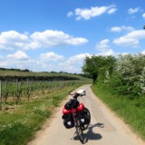 1805F 010 Mosel Perl-Trier